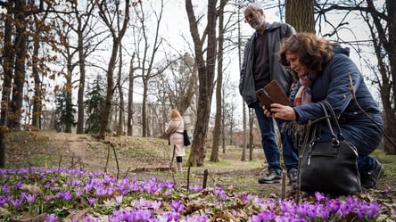 У Харків завтра прийде сонячна погода з потеплінням до +17°C - 290x166
