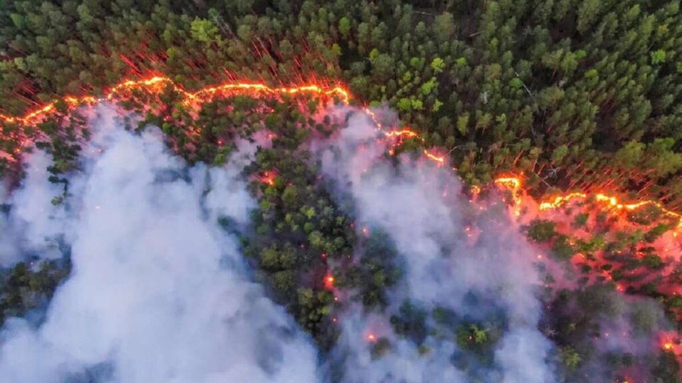 Прогноз погоди в Україні на неділю, 18 серпня, від Укргідрометцентру та народної синоптикині Наталки Діденко