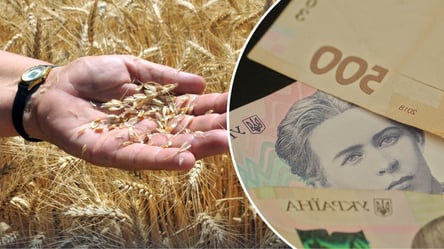 Ціни на пшеницю напередодні весни — як зміниться вартість зернових - 285x160