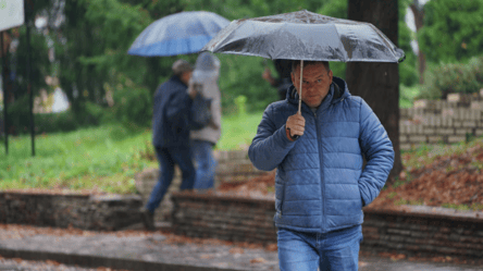 Повсюду будут дожди, местами туман — прогноз погоды на сегодня - 290x166