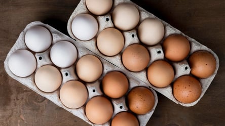 Дізнайтеся, чи справді коричневі яйця корисніші за білі - 285x160