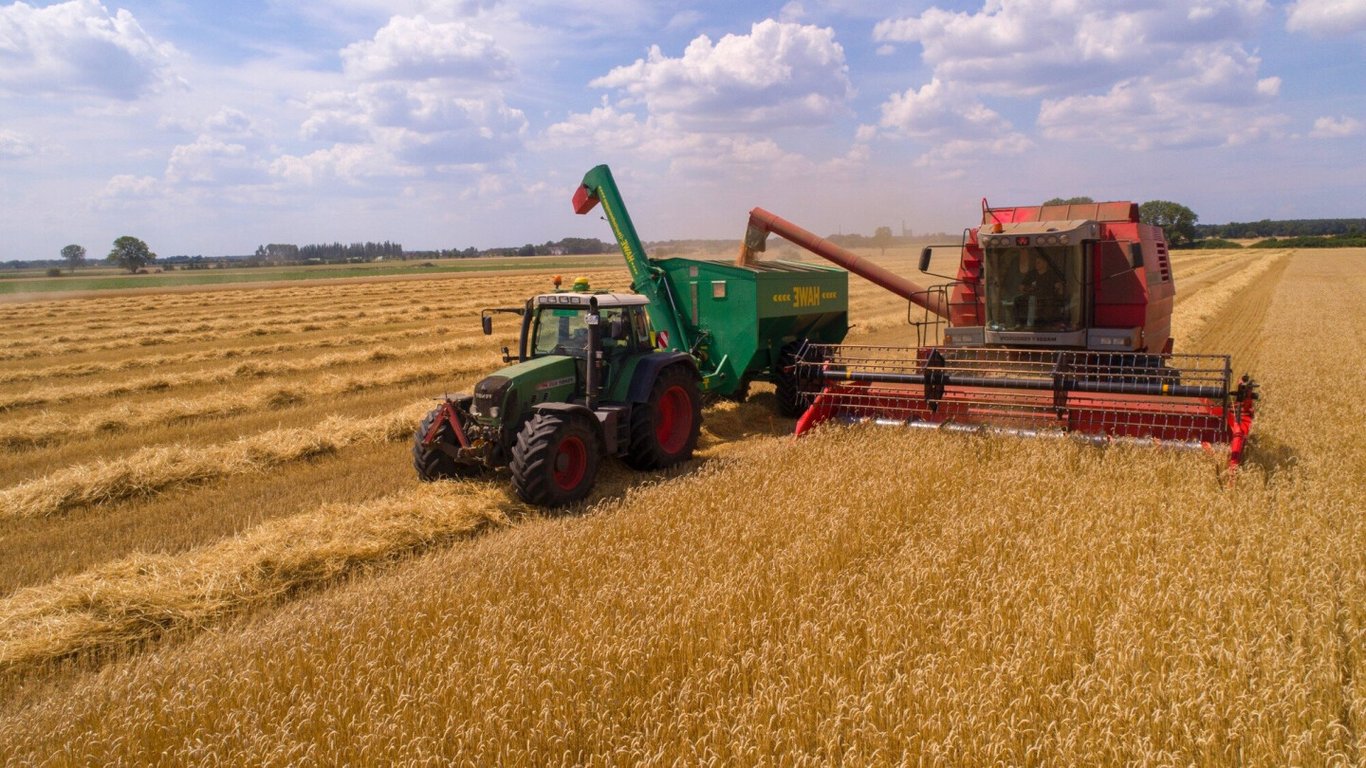 Рекордная жатва: сколько урожая собрали в Одесской области