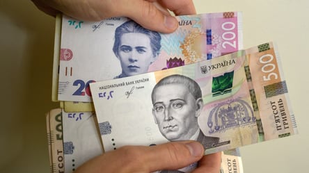 В Україні запустили "Зимові 6 500" — як подати заявку на виплати - 285x160