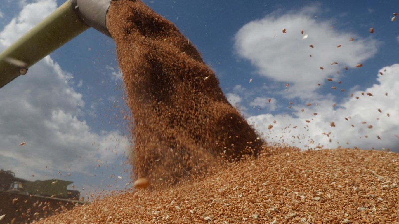 Ціна на зерно в Україні почне падати: в чому причина