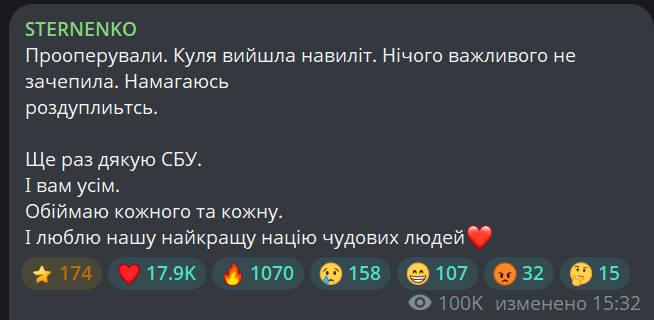 Стерненко прооперировали после нападения — в каком он состоянии - фото 1