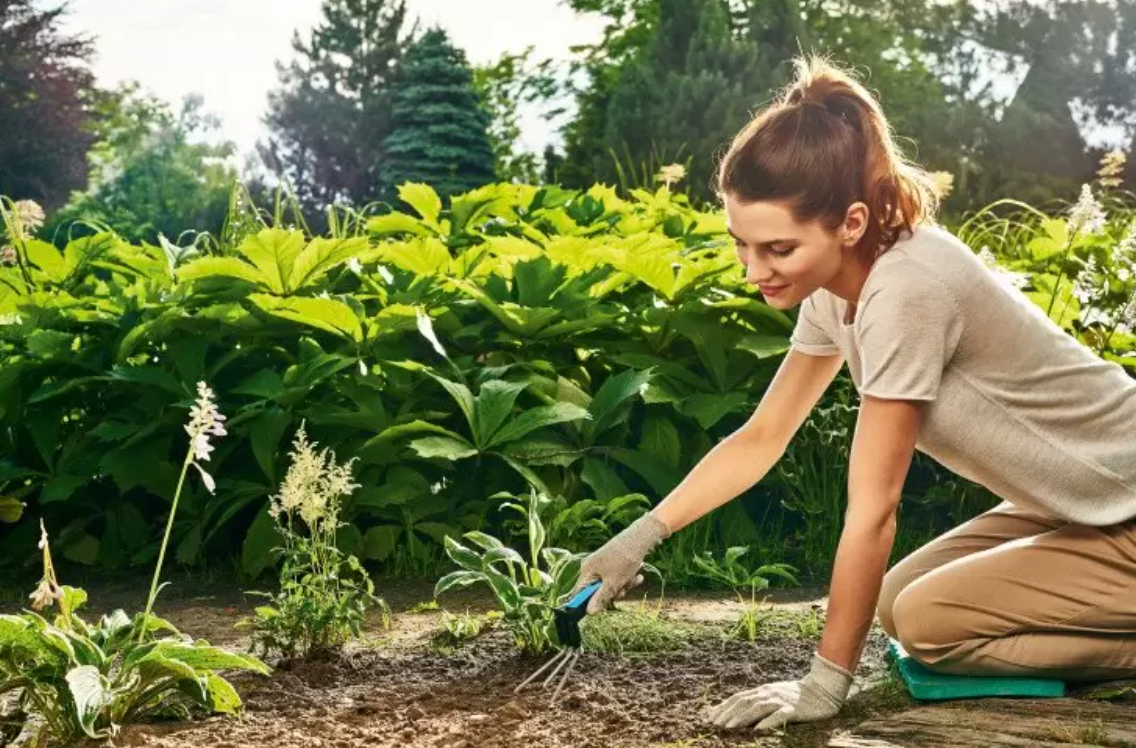Девушка, разрыхляющая огород
