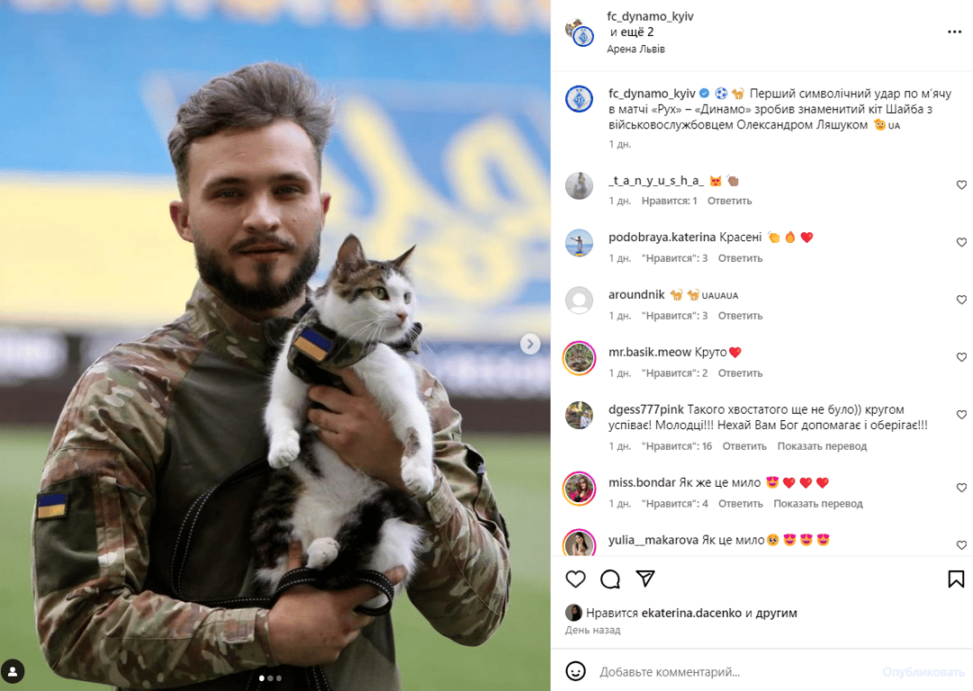 Бойовий кіт Шайба відвідав Львів для участі в благодійних заходах - фото 1