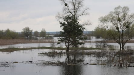 Наводнение на Киевщине: в ГСЧС показали фото с высоты птичьего полета и дали оценку ситуации - 285x160