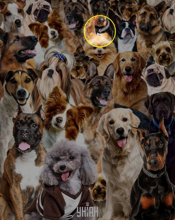 Правильный ответ на оптическую головоломку