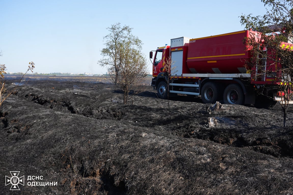 Пожежа під Одесою — згоріло 10 гектарів землі - фото 3