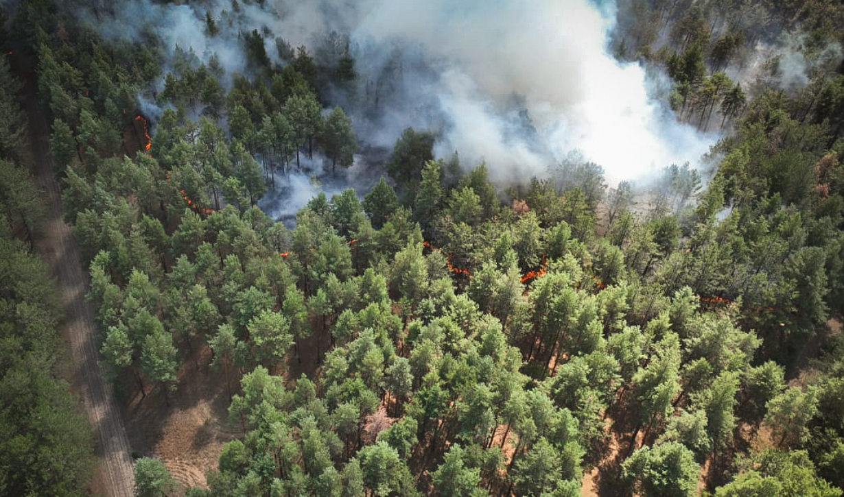 Пожар в Николаевской области 11 августа