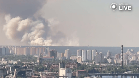 На Київщині біля Вишгорода сталася масштабна пожежа — що відомо - 285x160