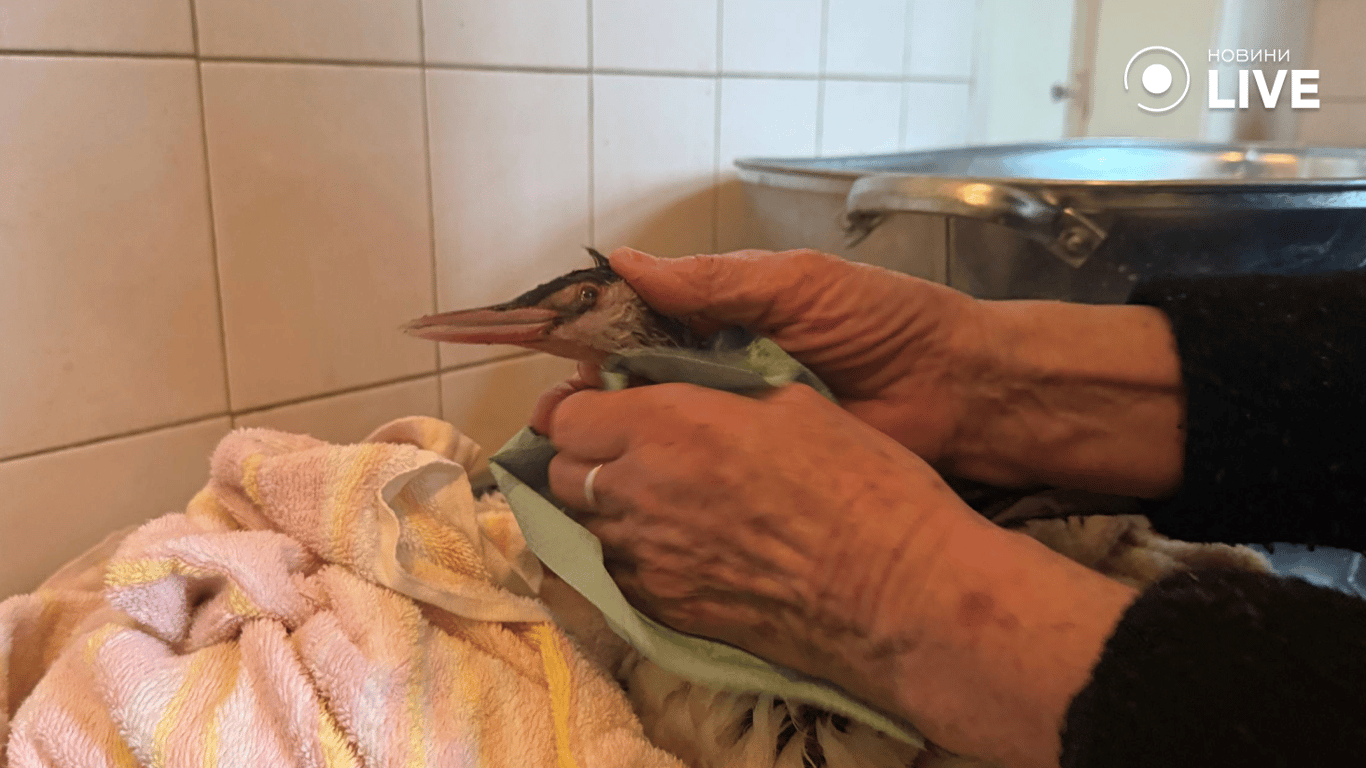 Як російський обстріл спричинив екологічну катастрофу біля Одеси - фото 3