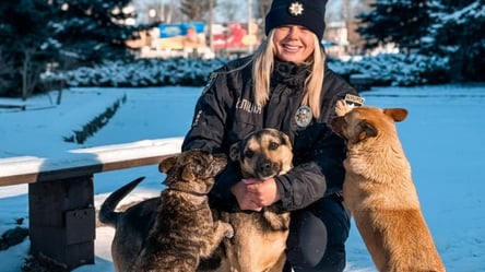 Спасение четвероногих в холода — как копы помогают пушистикам - 285x160