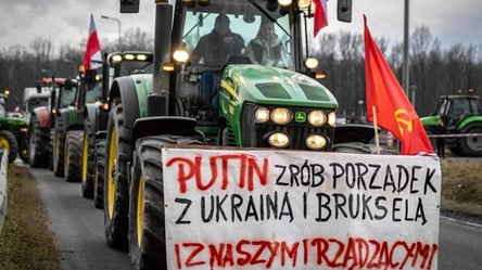 Народна депутатка розповіла, що стоїть за протестами польських фермерів - 285x160
