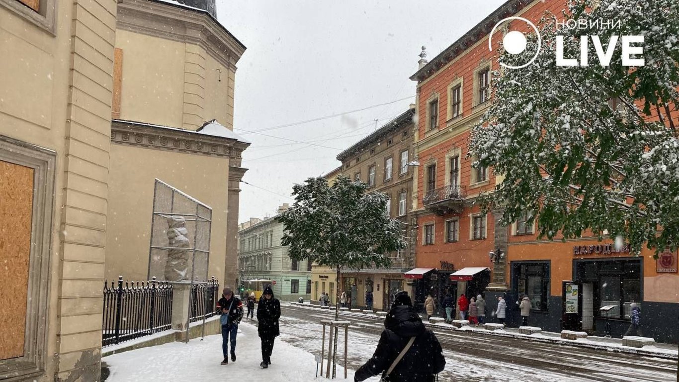 Львівщину накриє снігова буря — в регіоні оголосили штормове попередження