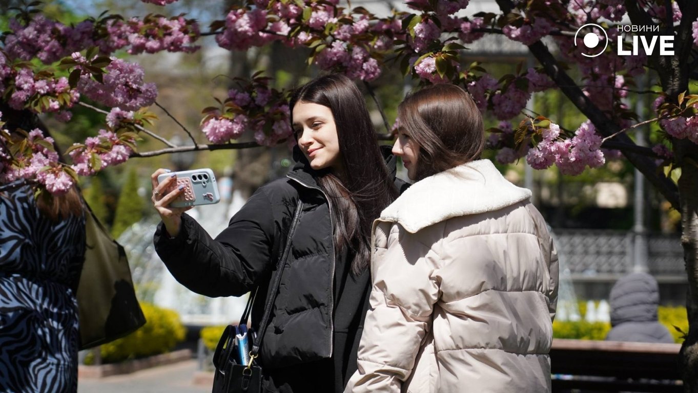 В Одесі зацвіли сакури