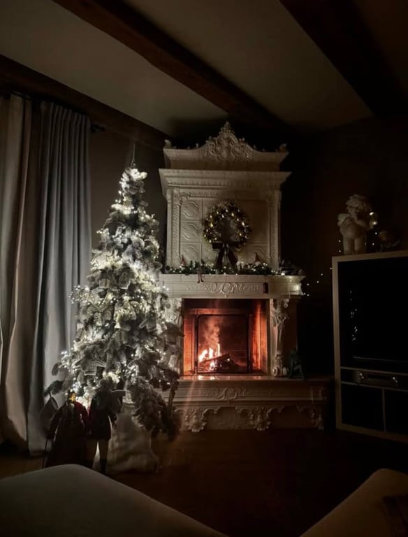 Вітальня Тіни Кароль