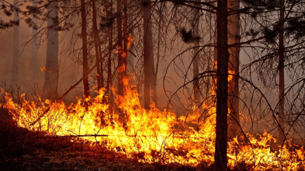 Припече до +34 °C — в яких областях синоптики попереджають про підвищений рівень небезпеки - 290x166