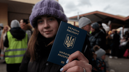 В Украине утвердили правила для множественного гражданства - 285x160