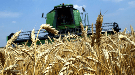 Цены на зерновые в Украине — что сейчас влияет на стоимость - 285x160