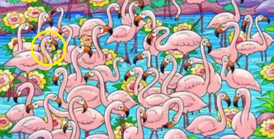 Знайдіть дівчину серед рожевих фламінго — з задачею впоралися лише 10% гравців - фото 2