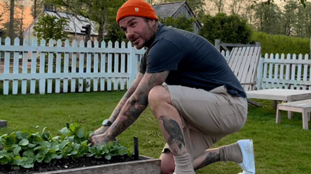 Девід Бекхем показав врожай на своєму городі — фото - 285x160