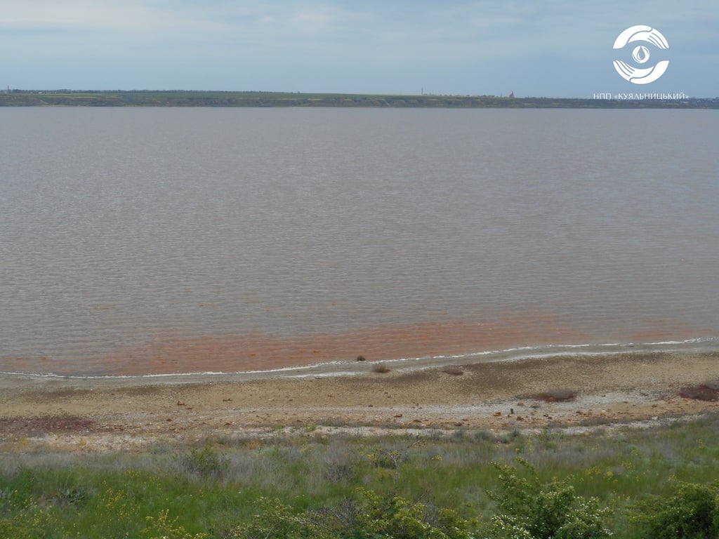 На Одещині зацвів рожевим лиман — вражаючі фото - фото 3