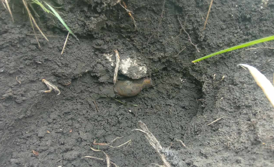 Монети знайшли в землі на Одещині