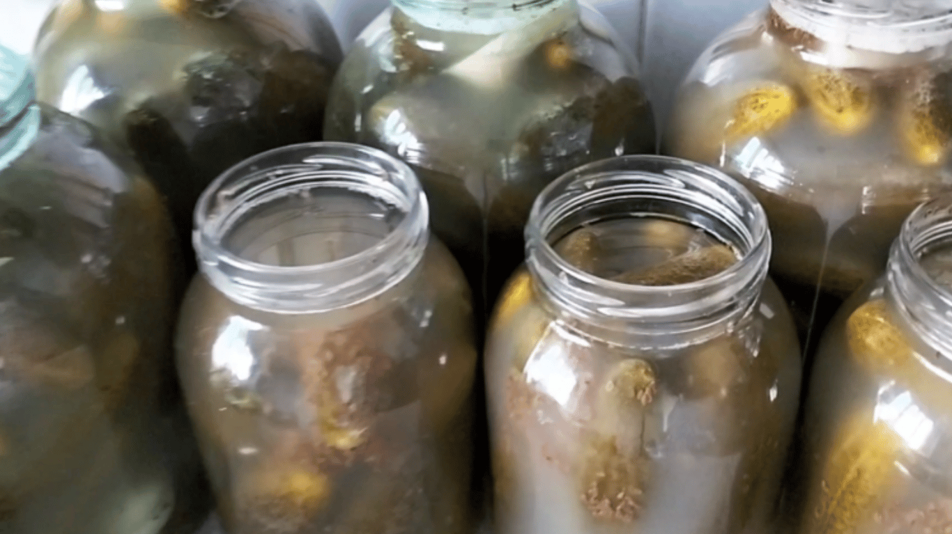 Солоні огірки без оцту рецепт приготування з фото