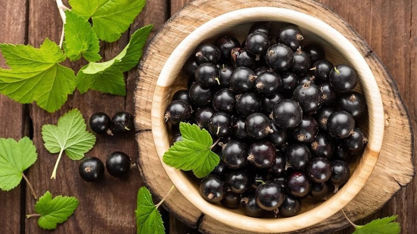 як приготувати анливку зі смородини 