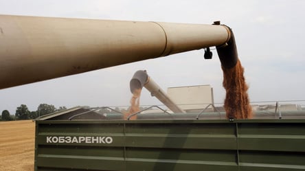 В Украине зерно нового урожая уже стоит более 9 000 грн за тонну - 285x160