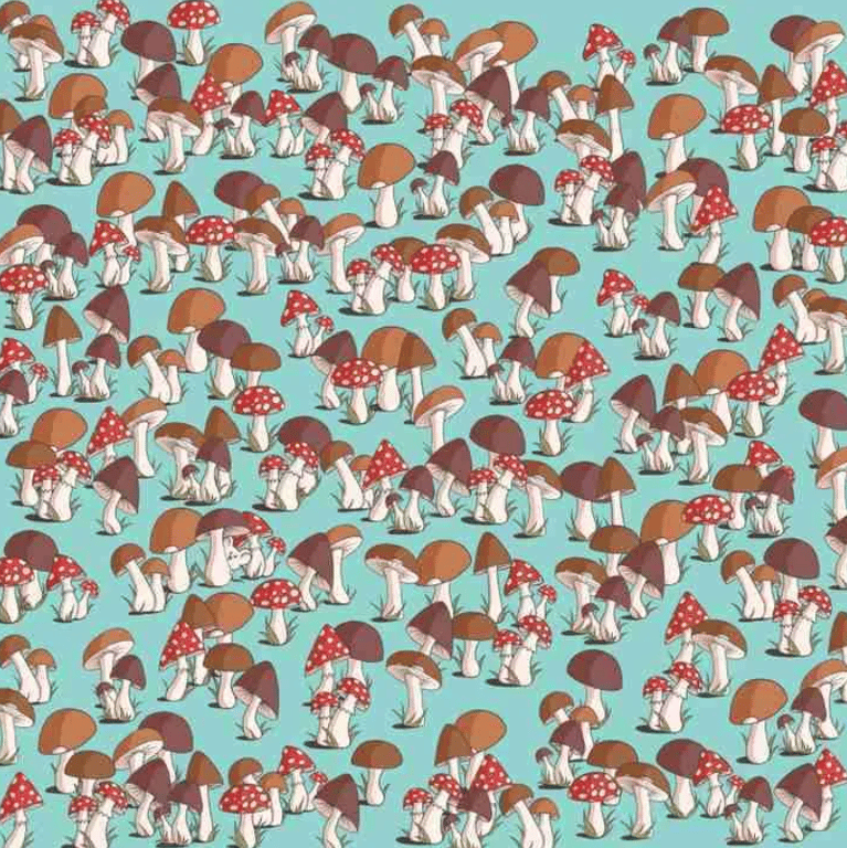 Визуальная головоломка на внимательность