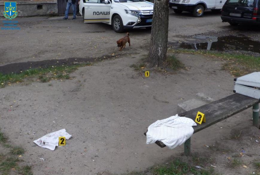 Вбив перехожу та втік: на Львівщині засудили чоловіка на 15 років