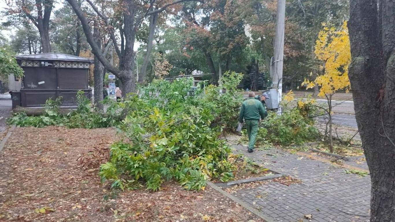 В Одессе ветер свалил десятки деревьев