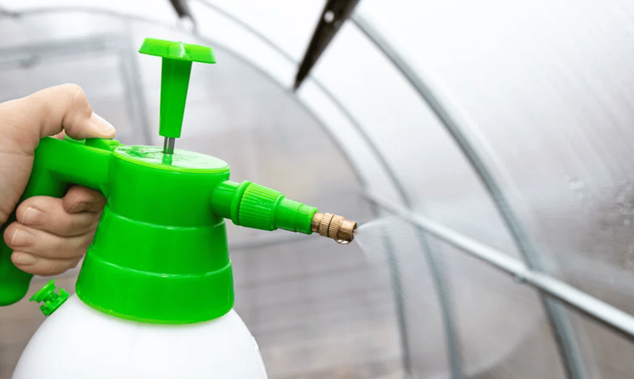 Мытье теплицы