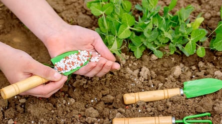 Одна зимняя ошибка — и почва будет испорчена на весь сезон - 285x160