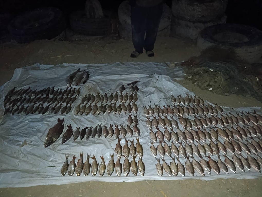 На Одещині браконьєри виловили риби майже на мільйон — подробиці - фото 3