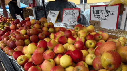 Як змінилася ціна яблук на одеському ринку — який попит - 285x160