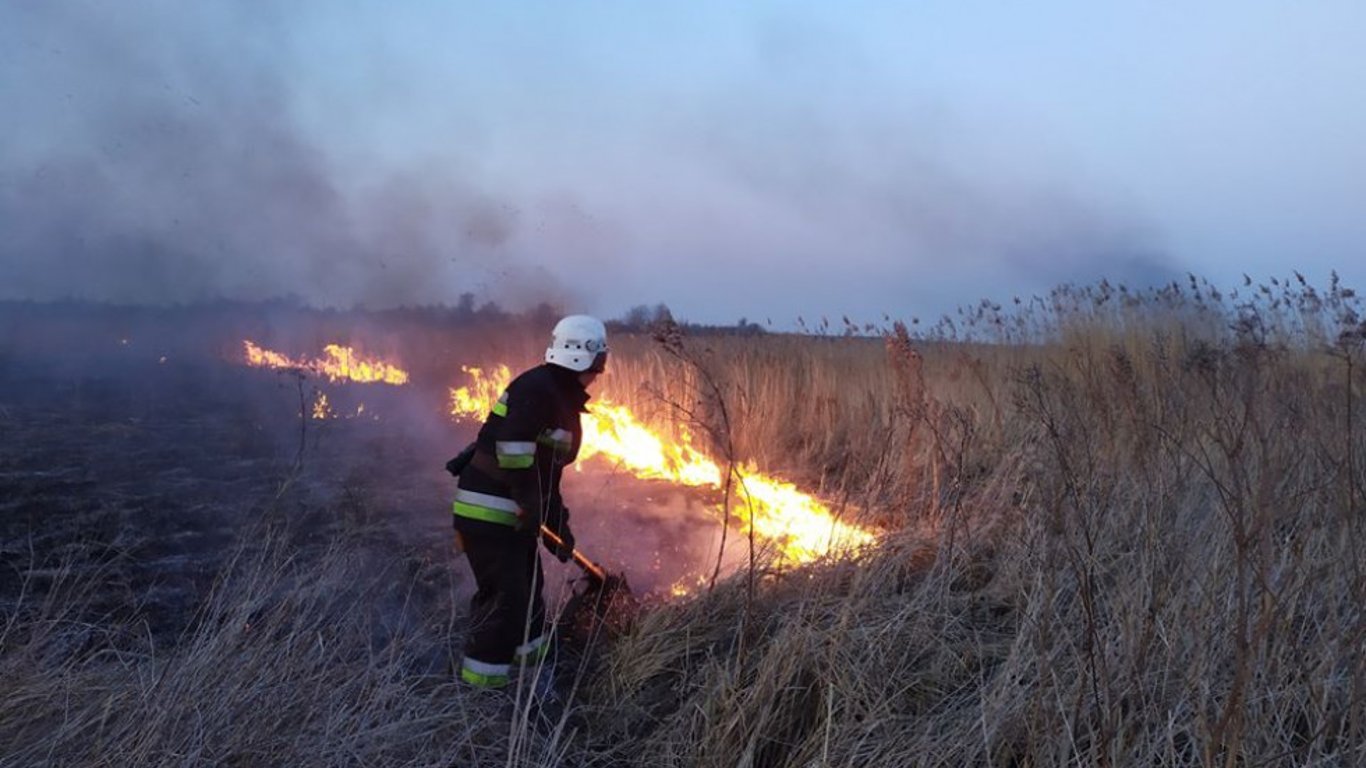 В столице объявили чрезвычайную пожарную опасность — киевлян просят быть осторожными