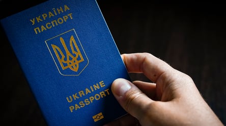 Закон про множинне громадянство набув чинності — що зміниться - 285x160