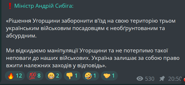 МИД ответил на запрет Венгрии на въезд некоторым украинцам - фото 1