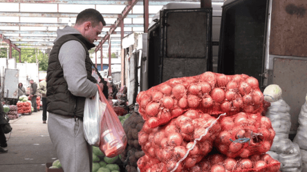 В Україні щодня стрімко падають ціни на цибулю — яка причина - 285x160