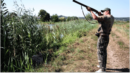 Охота осенью 2025 — где разрешена и за что штрафуют - 285x160