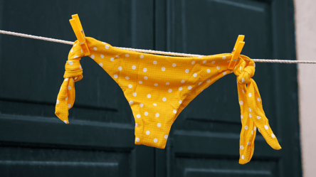 Лавровий лист у білизні — для чого його туди кладуть - 285x160