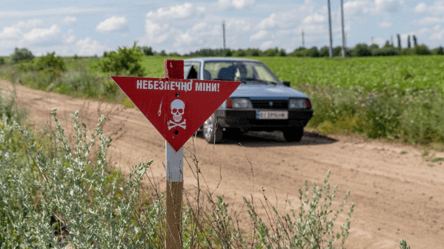 Під час розмінування на Сумщині загинули співробітники ДСНС - 290x160