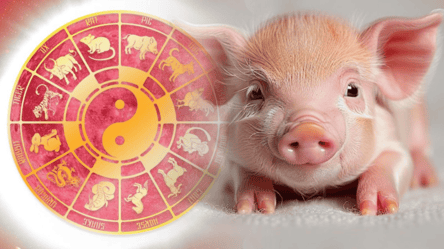 Східний гороскоп для Свині на 2026 рік — які сюрпризи готує Кінь - 285x160