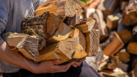 Деньги на дрова от Каритас — кто из украинцев получит зимой - 285x160