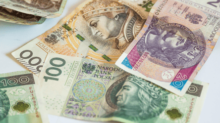 Нові правила для готівки — які гроші не прийматимуть у Польщі - 285x160