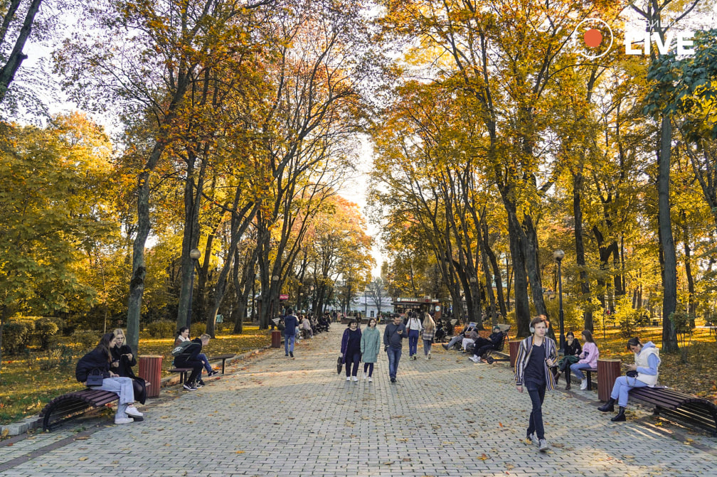 Сонячний день у парку, Київ